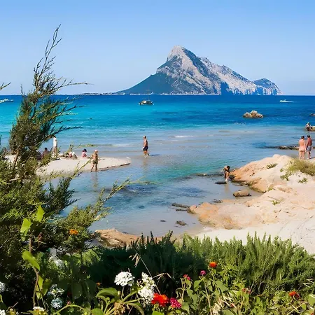 Mare * Olbia